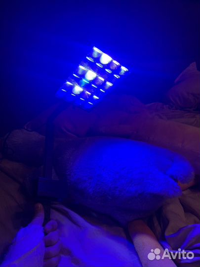 Моской светильник popbloom