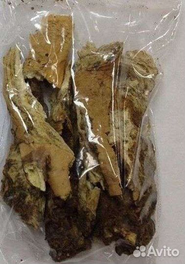 Молочай(мужик-корень)