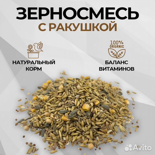 Зерносмесь с ракушкой