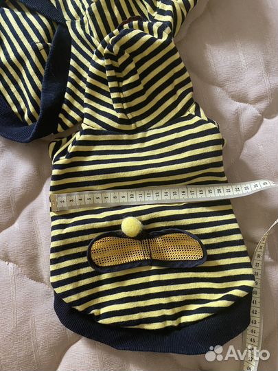 Одежда для собак