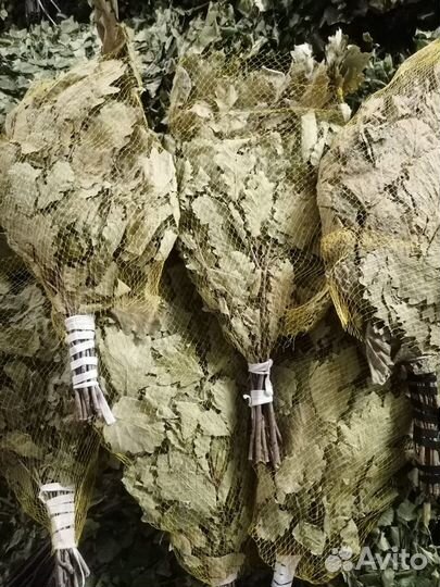 Веник дубовый Премиум