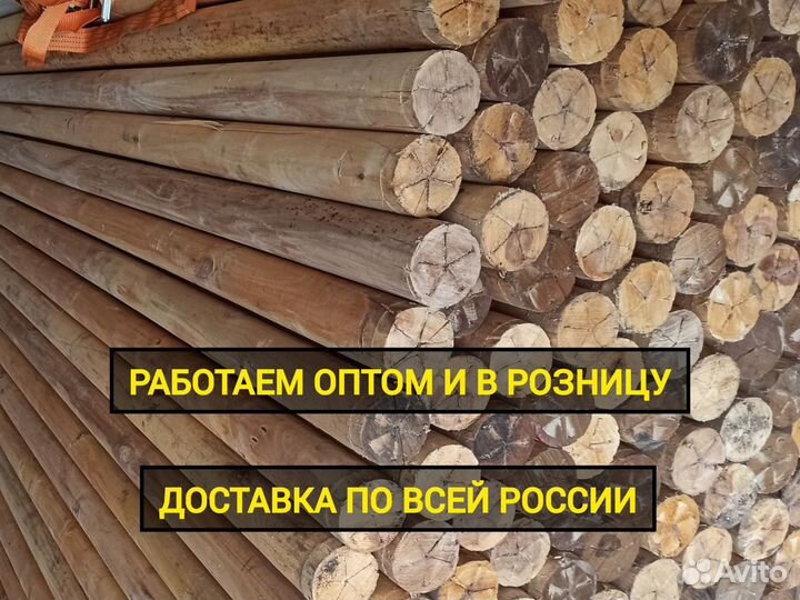 Столбы для забора / Карандаш березовый 261 см