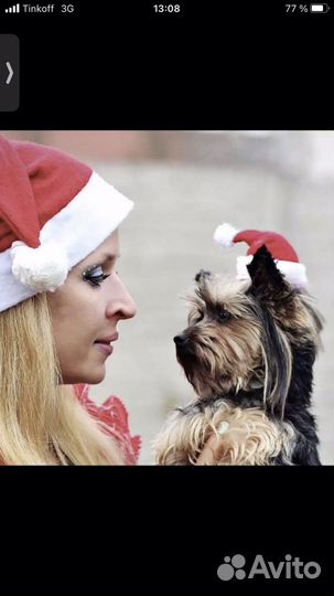 Шапочка для кошек и собак