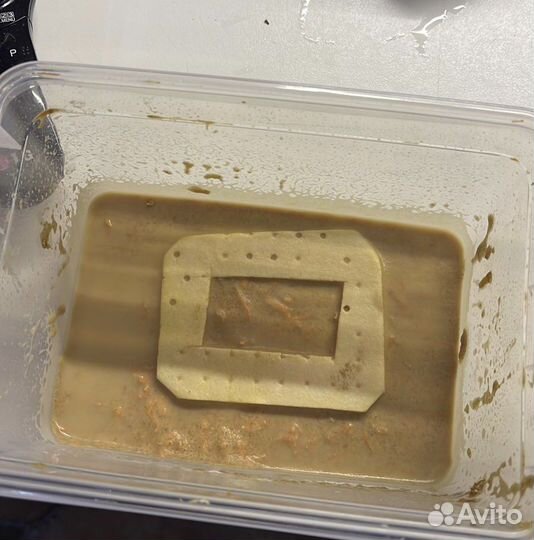 Живой корм для аквариумных рыбок