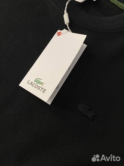 Свитшот Lacoste плотный мужской