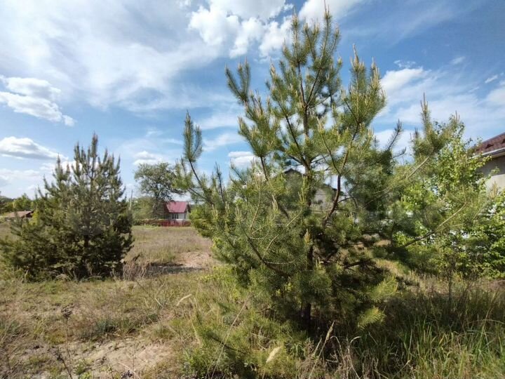 Участок 15 сот. (ИЖС)