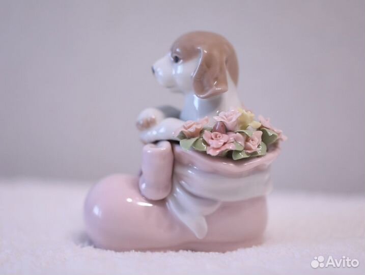 Pavone фарфоровая статуэтка щенок в башмачке
