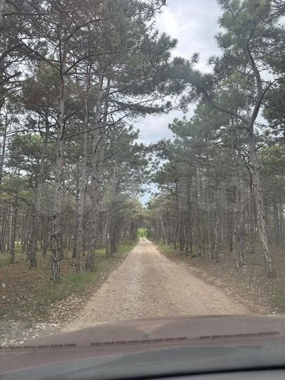 Участок 11,5 сот. (СНТ, ДНП)