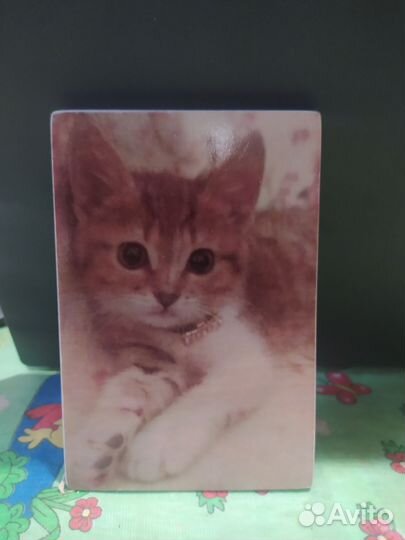 Фотографии на дереве