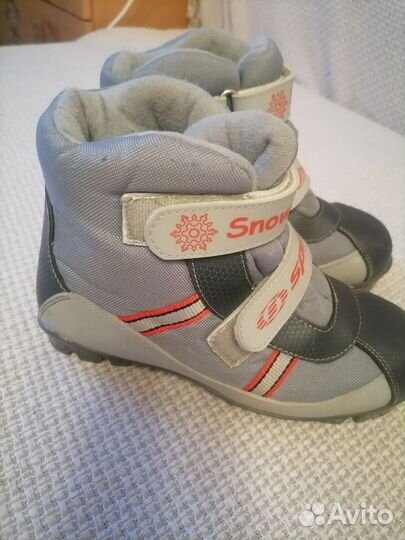 Лыжные ботинки spine