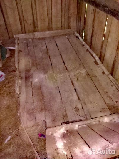 Конные сани