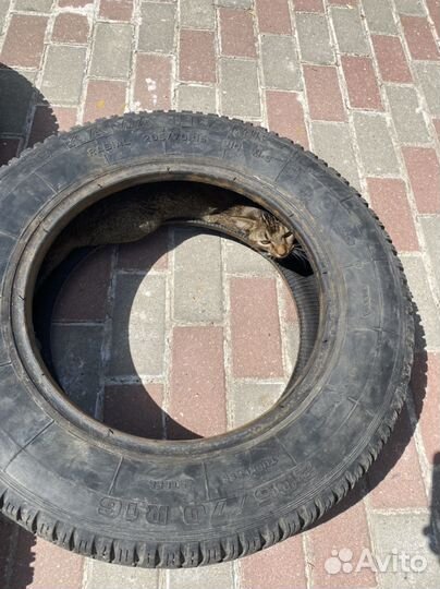 КАМА Кама-Flame 205/70 R16