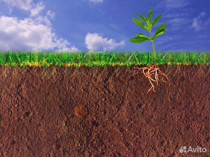 Грунт растительный