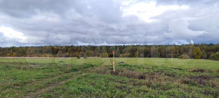 Участок 10 сот. (ИЖС)