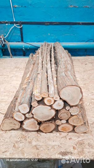 Стаолв и спилы Можжевельник