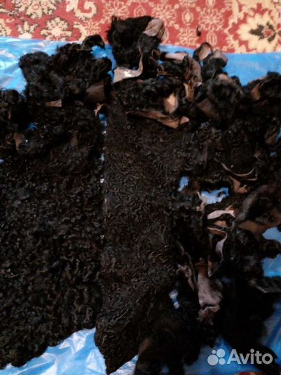 Мех каракуля