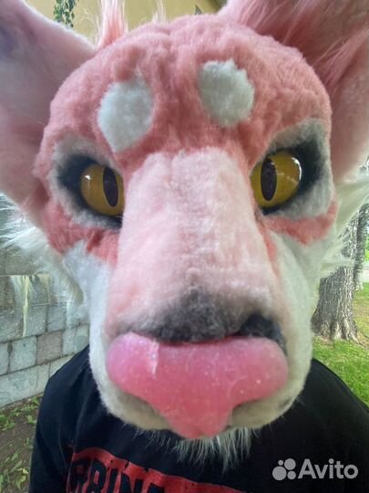 Фурсьют партиал кошка чит.опис