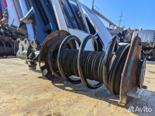 Стойка амортизатора Toyota C-HR