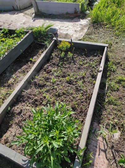 Участок 9,96 га (СНТ, ДНП)