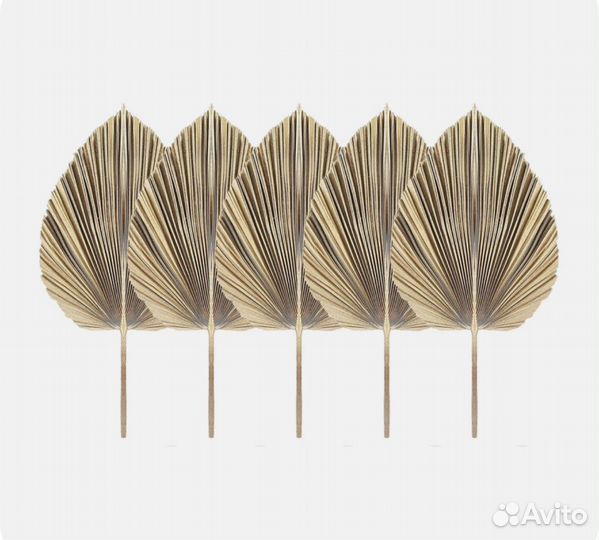 Сухоцвет лист для декора