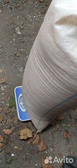 Продажа зерно отходов из пшеницы