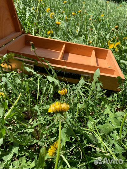 Этюдник Малевич