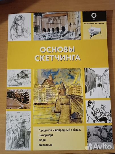 Основы скетчинга