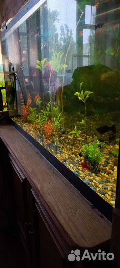 Аквариум с тумбой 200литров