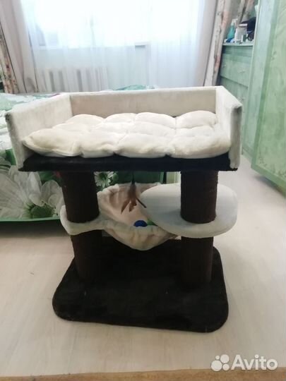 Когтеточка кошкин дом