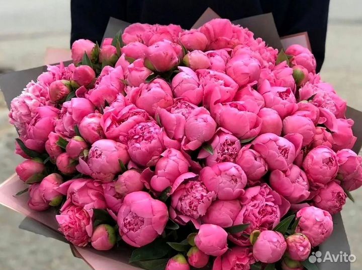 Пионы с доставкой по Краснодару