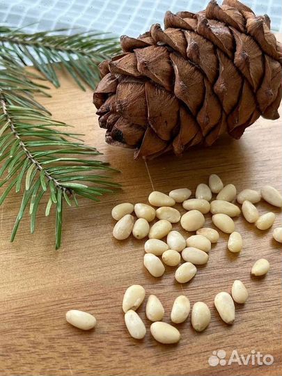Ядро кедрового ореха