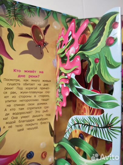 Книга Кто где живёт