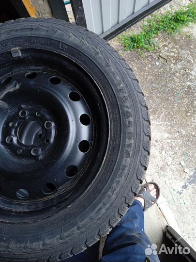 Nordman 5 175/65 R14