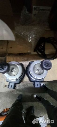 Насос нержавейка для пивоварни