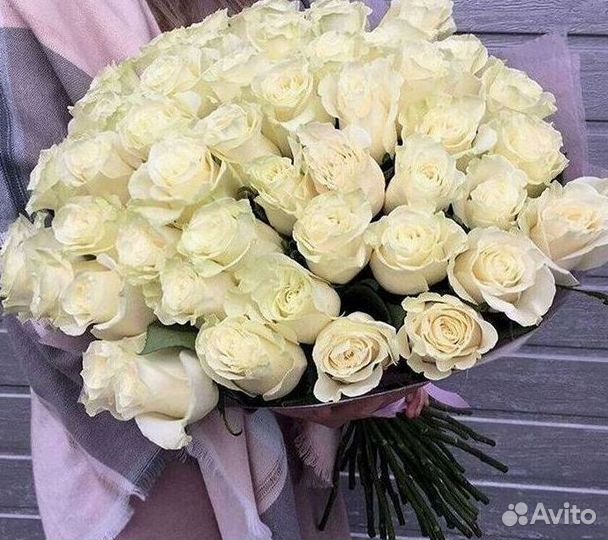 Высокие Розы с Доставкой