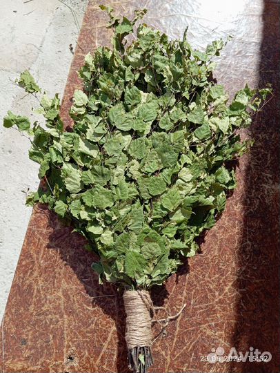 Березовые веники для бани 2024г