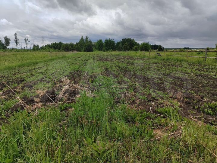 Участок 15 сот. (ИЖС)