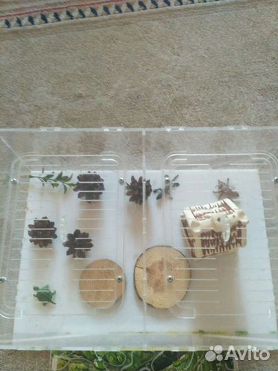 Муравьиная ферма б/у