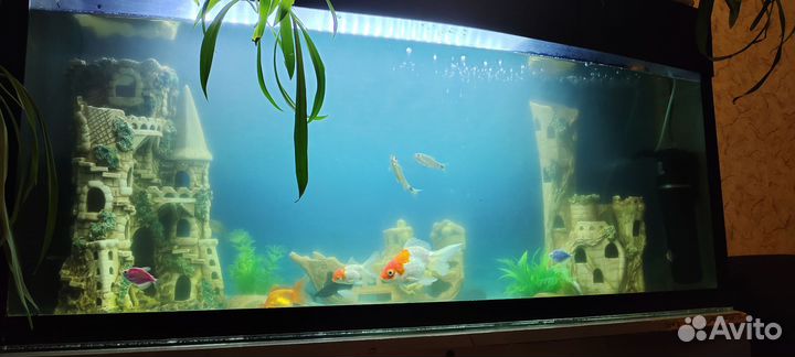 Аквариум с тумбой бу