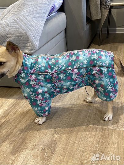 Зимняя одежда для собак