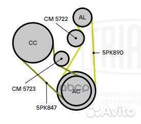 Натяжитель ремня приводного Ford Kuga (08) 2.5