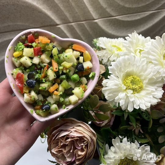 Консультация по содержанию белки-лятеги