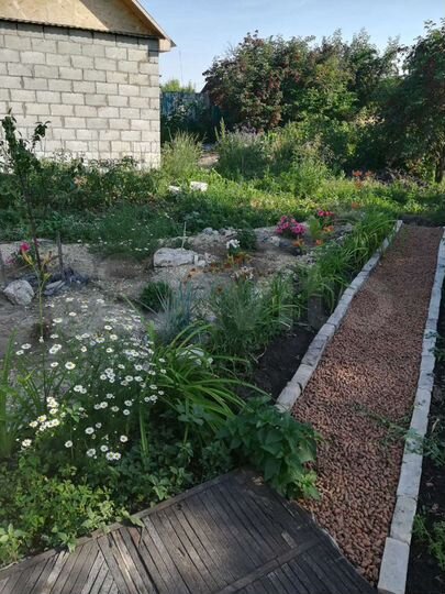 Дом 37,2 м² на участке 24,6 сот.