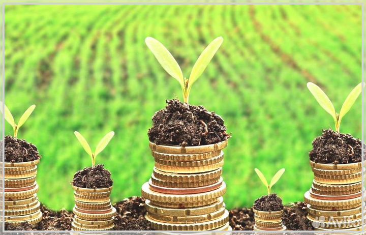 Ищу инвестора / Пассивный доход