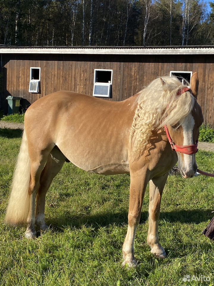 1.trHZELa4Gljvp5hVuQqss5ixGF5nsZhO77wYWmm5ElJv.4V6bE1agqO5zjxuL0KBQHm287nElRlD14pkzNB4tDss