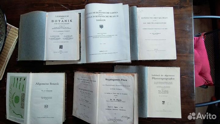 До революционные книги на иностранных языках