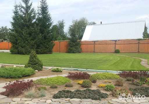 Рулонный газон эконом