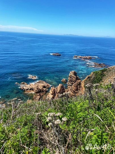 Императорские острова. острова Желтухина и Рикорда