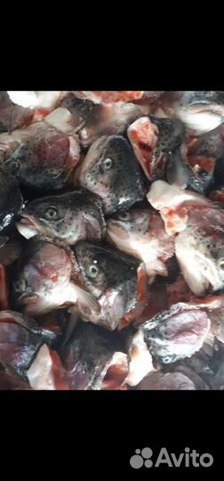 Мясо для собак