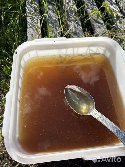 Мед Разнотравье степное (жидкое) опт